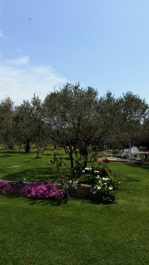 Villa Spanja Vodice Ngoại thất bức ảnh