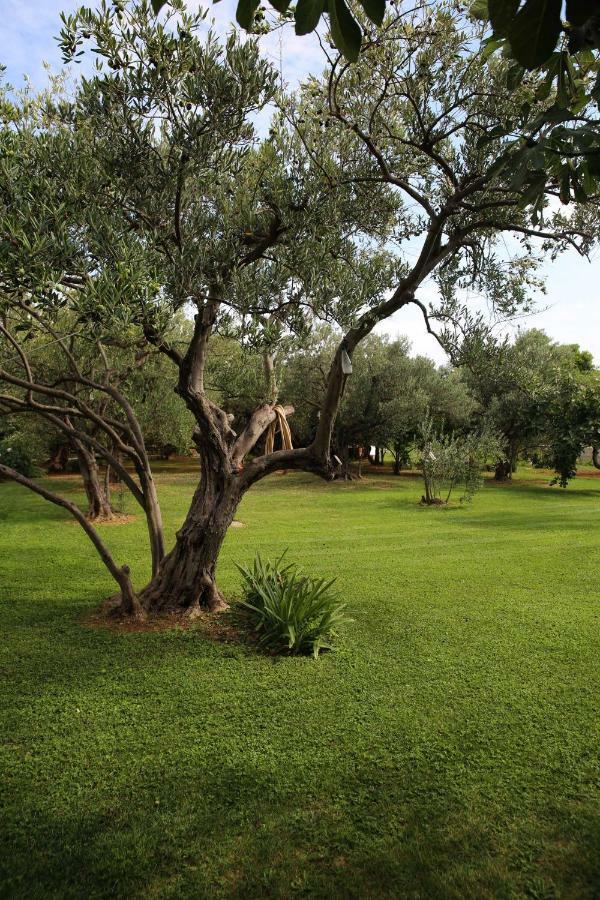 Villa Spanja Vodice Ngoại thất bức ảnh